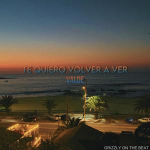 Te Quiero Volver A Ver