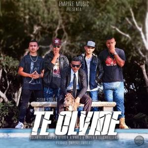 Te olvide