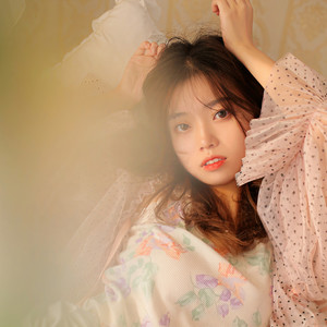 全英文柏林之声高档设备专用车载窜烧