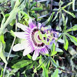 Equinox (feat. slayn stacy) (Explicit)