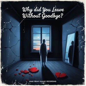 Why Did You Leave Without Goodbye