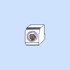 CapybaLaundry