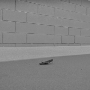 ANUDA1(feat. Young Stoner) (Explicit)