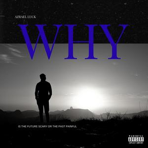 WHY (Explicit)