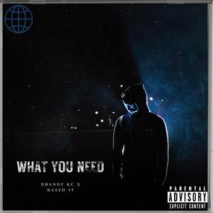 What You Need (feat. BASED JT) [Explicit]