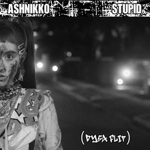 Ashnikko-STUPID (DYSA Flip) [Explicit]