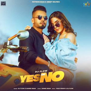 Yes or No(feat. Shree Brar)
