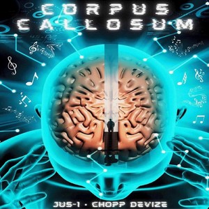 Corpus Callosum (Explicit)