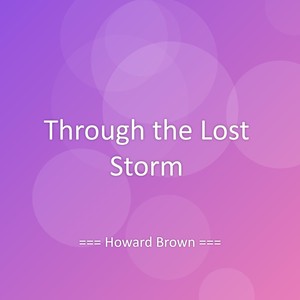 Through the Lost Storm