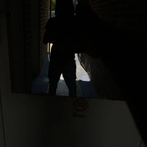 Bs Remix (feat. Jun5 & ycmrou|Explicit)