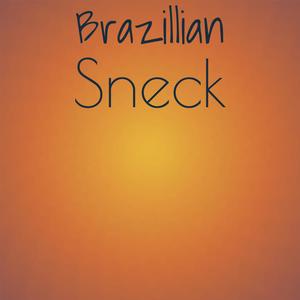 Brazillian Sneck