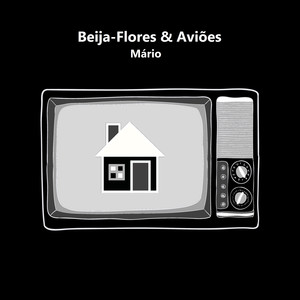 Beija-flores & Aviões