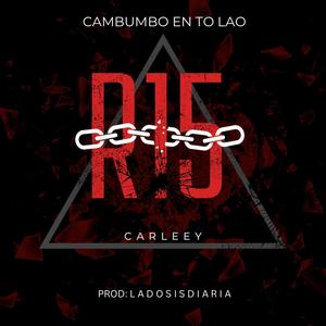 R 15 (Special Version)