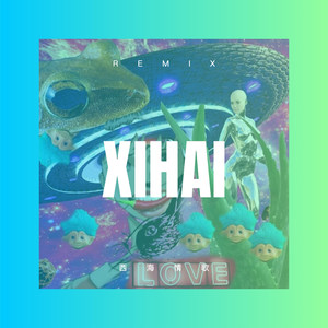 裴安娴 - 入骨相思谁人懂 (Remix)