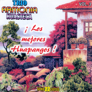 Los Mejores Huapangos - Serie 22 Exitos, Vol. 3