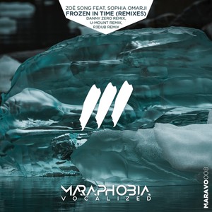 Frozen In Time (Danny Zero Remix)