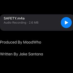 Safety (Explicit)