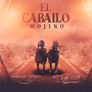 El Caballo Mojino