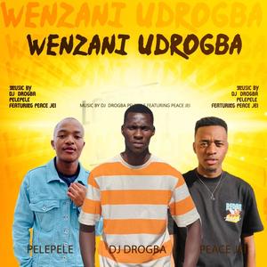 WENZANI U DROGBA (feat. Pelepele & Peace Jei) [Explicit]