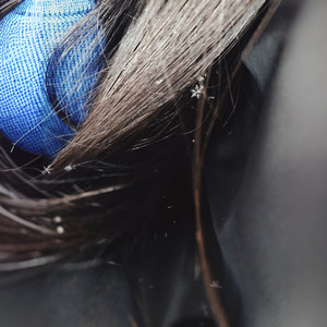 【琵琶】半生你我