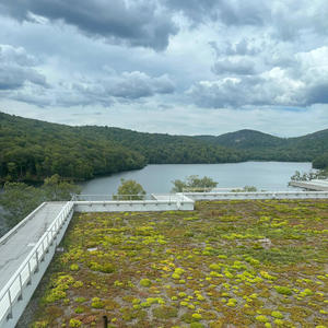 Frank Gallagher Vs Rey Mysterio Freestyle (Explicit)