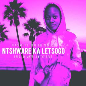 Ntshware Ka Letsogo (feat. Kgau The Vocalist)
