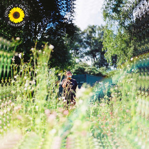 Sunflower (Explicit)