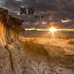 小酒窝 (DJ版)