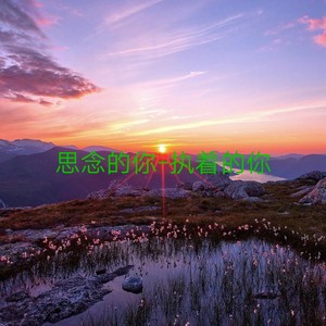 思念的你