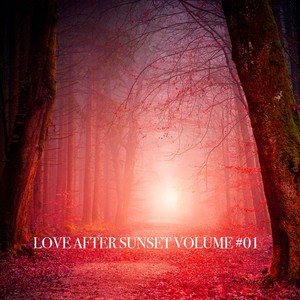 The Man From Forgotten Dream (Original Mix)