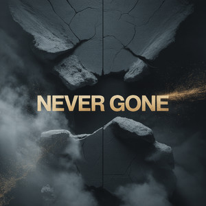 Never Gone