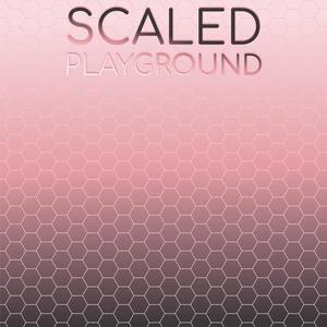 Scaled Playground