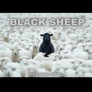 Black Sheep