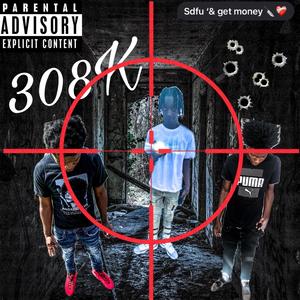 308K (feat. Risky.mel, Lul key & Viewboy.ant) [Radio Edit] [Explicit]