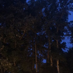 Had to get dis money (Explicit)