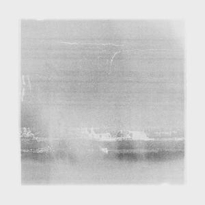 Fresh Bones (feat. SHAAFE)