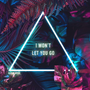 I won't let you go