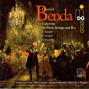 Flute Concerto in E Minor: II. Adagio, un poco Andante