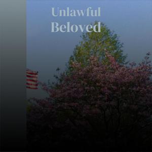 Unlawful Beloved