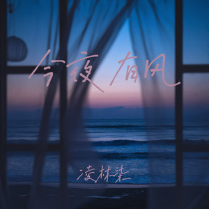 今夜有风-凌林柒