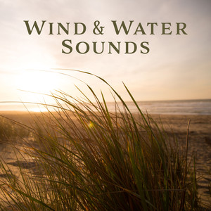 Wind