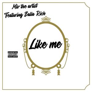 Like Me (Explicit)