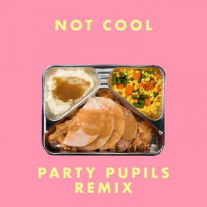 Not Cool (Party Pupils Remix) [Explicit]