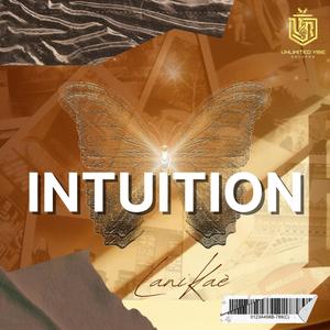 INTUITION (Explicit)