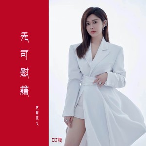 无可慰藉 (DJ沈念版伴奏)