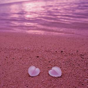 Sweet Sugar Sea