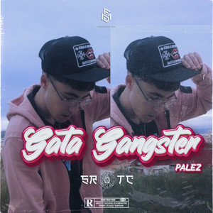 Gata Gangster (Explicit)