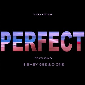 Perfect(feat. S Baby Gee & D One) (Explicit)
