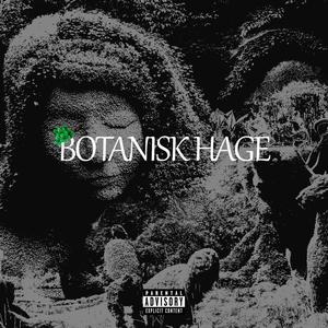 Nzo - KALD (Explicit)