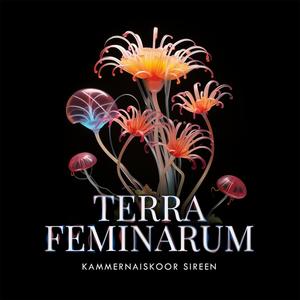 Terra Feminarum